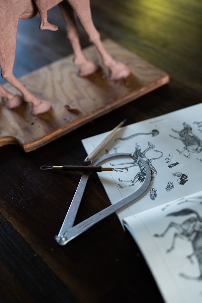 Sculpting tools up close on work table