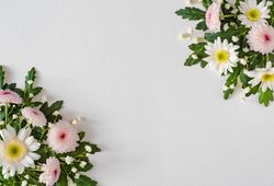 Natural spring wild flowers bordering light  flowers