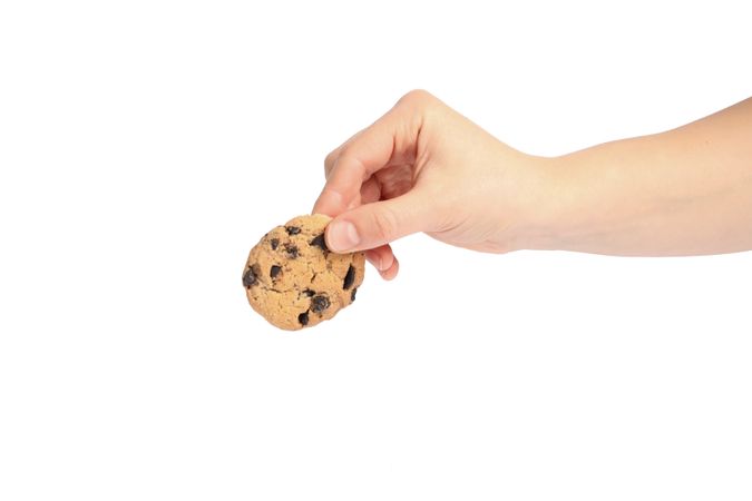 Woman holding tasty chocolate chip cookie on blank background, closeup