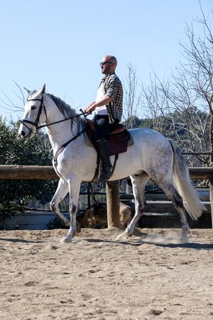 Male in casual outfit riding horse on sandy ground