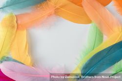 Colorful feathers bordering light background 4mjNNb