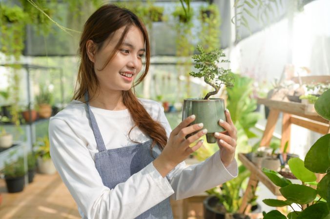 Young woman caring for trees in a greenhouse, planting trees, plant care equipment, planting greenhouses.