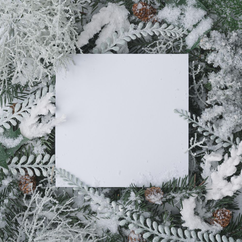 Christmas frame made of winter plants with paper card