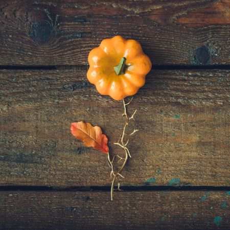 Flower concept made of pumpkin and autumn yellow leaf