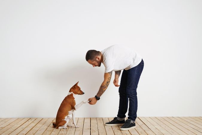 Casual, tattooed man shaking hands with dog