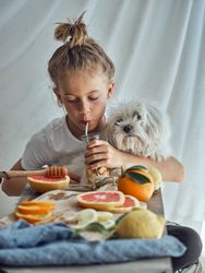 Cute little boy with small dog sitting at table