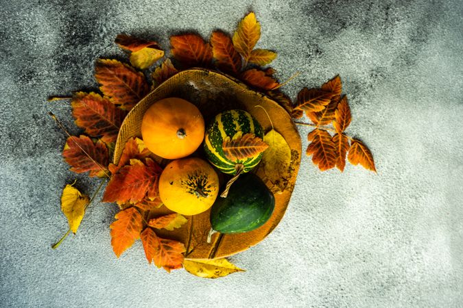 Top view of bowl with fall gourds and leaves