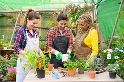 Group of diverse female gardeners in greenhouse