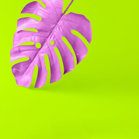 Painted tropical leaf in vibrant bold colors on green background