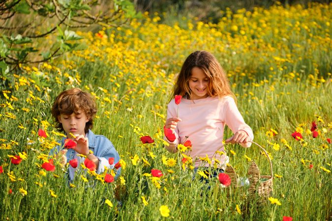 Children with basket walking in blooming field