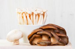 Mushrooms growing out of ceramic bowl with oyster mushroom