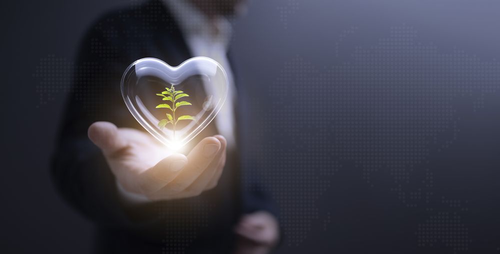 Business Ecology and Marketing Strategy Analysis