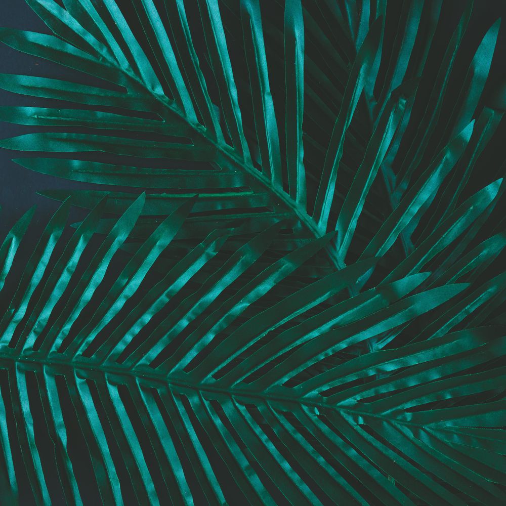Layout made of tropical flowers and leaves