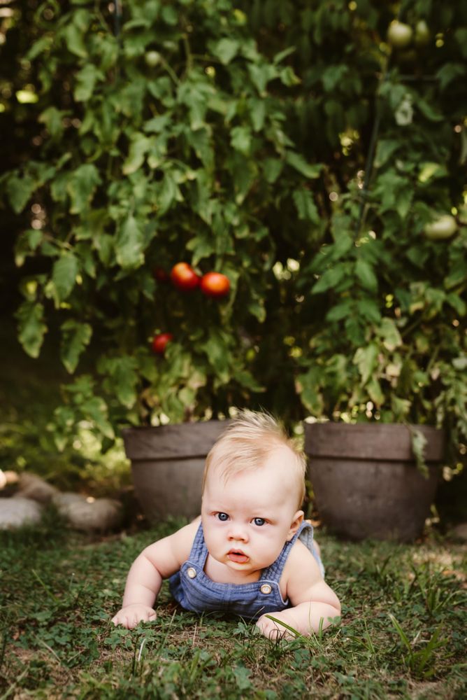 Toddler crawling on green grass