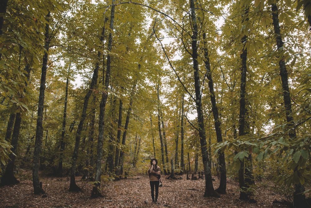 Young female resting in autumn forest