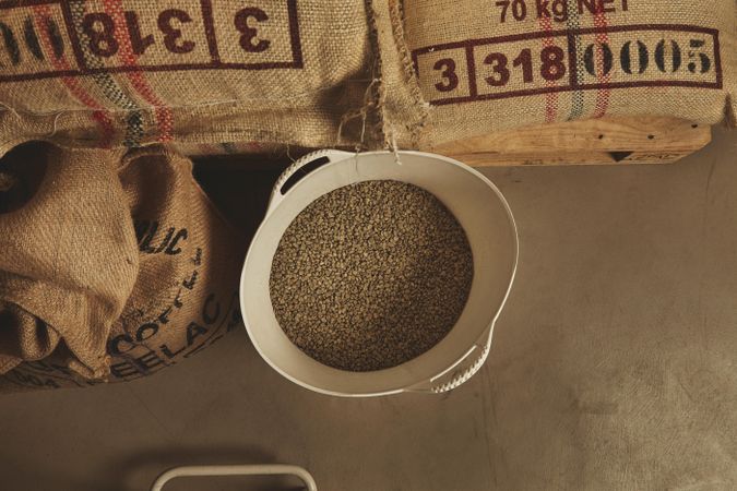 Container of raw coffee beans on cement floor surrounded by bags