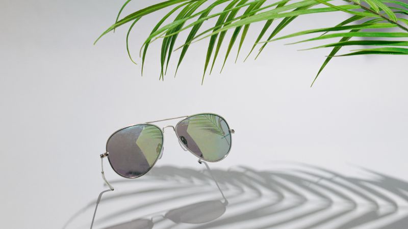 Aviator sunglasses with palm tree and shadow