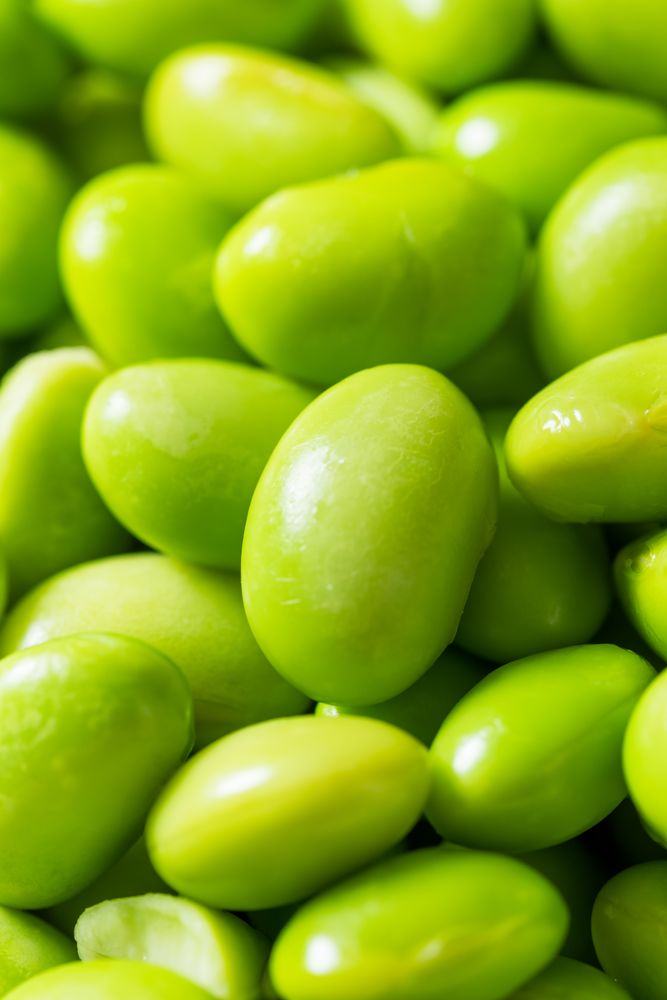 Green Organic Shelled Soy Edamame Beans