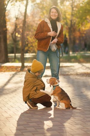 Family walks the dog