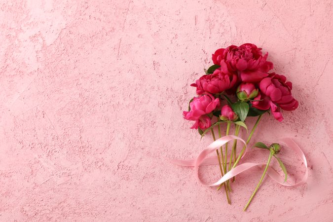 Bouquet of beautiful peonies and pink ribbon on color background, space for text