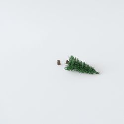 Single pine tree, chopped down on light background