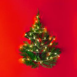 Christmas tree with lights on red table top