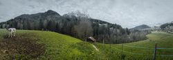 Pasture, Rougemont, Switzerland