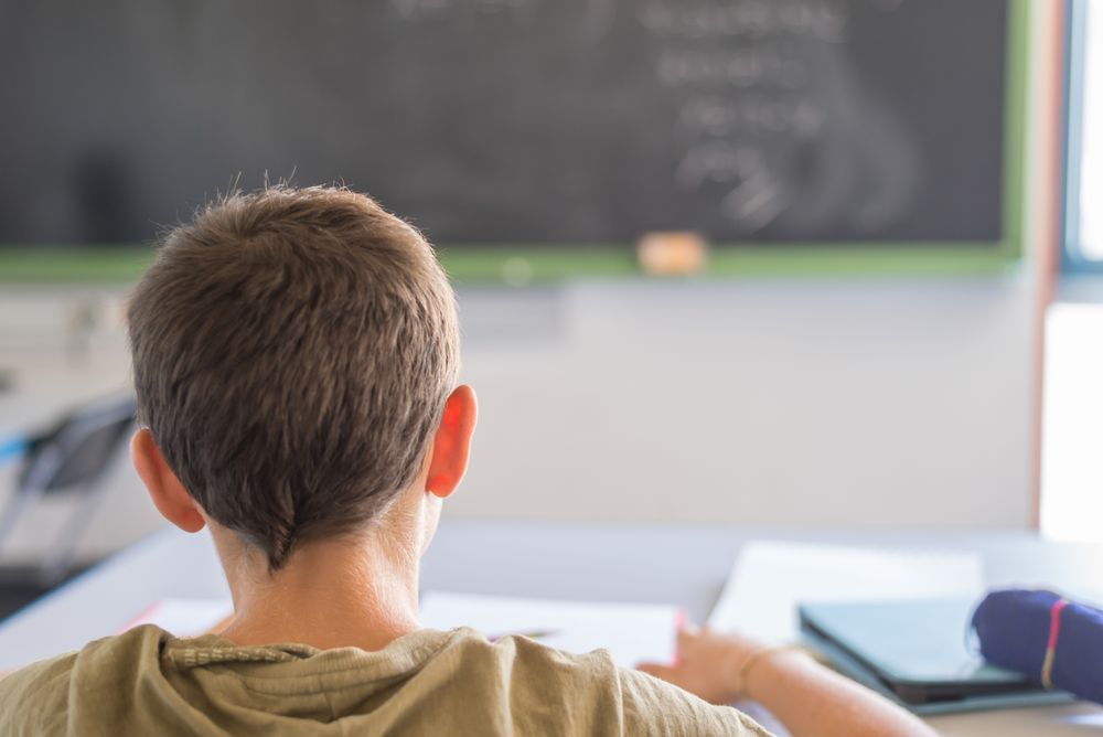 Back of male teenager sitting in class
