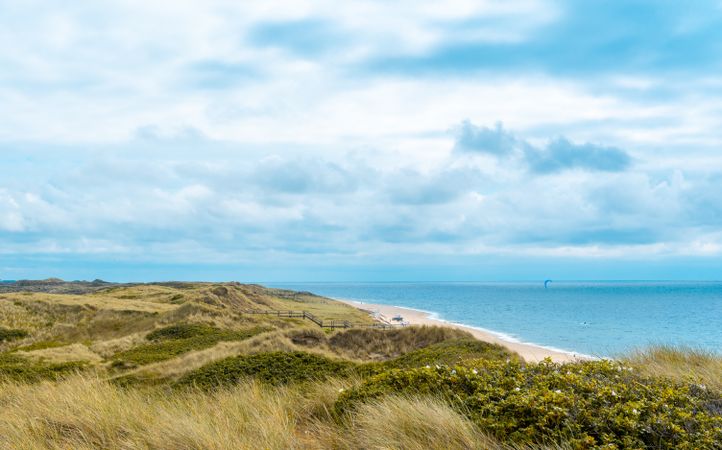 Beautiful summer scenery in the North Sea with the marram grass dunes on Sylt island