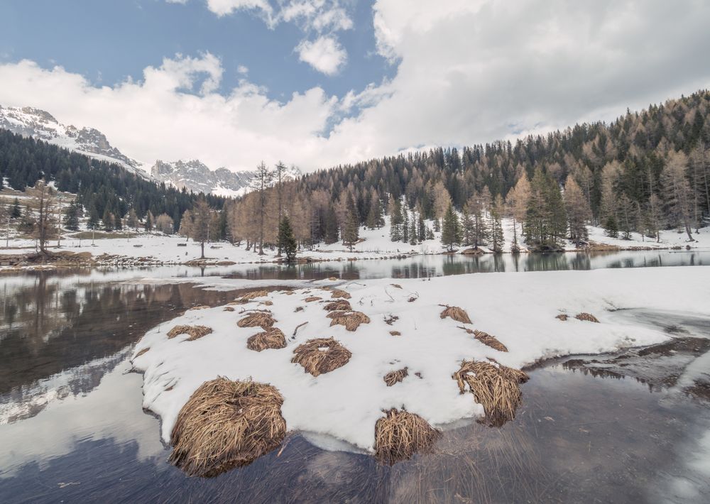 Beautiful landscape of snowy shore water and dry green forest