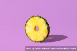 Pineapple slice isolated on a purple background 4BKpEb