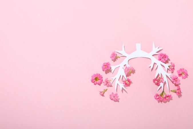 Paper lung bronchus with flowers with copy space