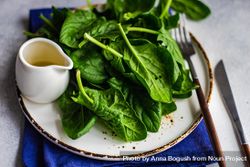Plate of fresh spinach salad on table 4BagWP