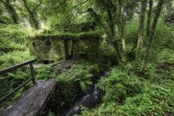 Old water mill in the forest, wooden bridge over stream