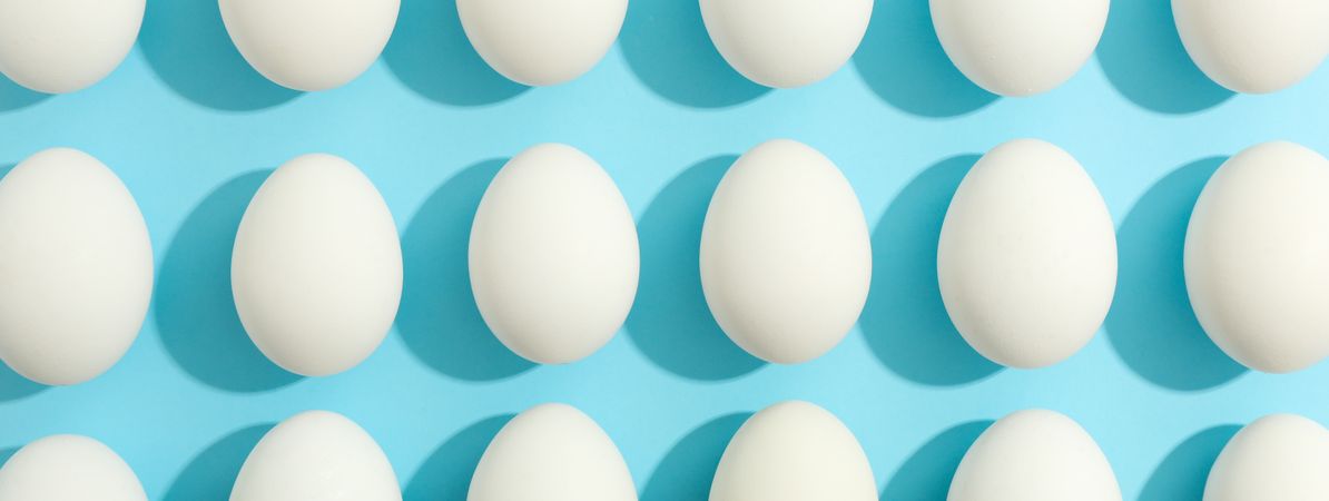 Flat lay composition with chicken eggs on color background, space for text