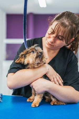 Female groomer with a dog