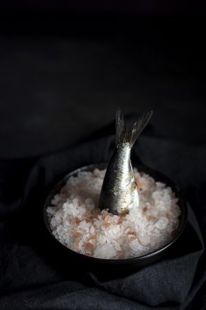 Tail of sardine in plate with salt