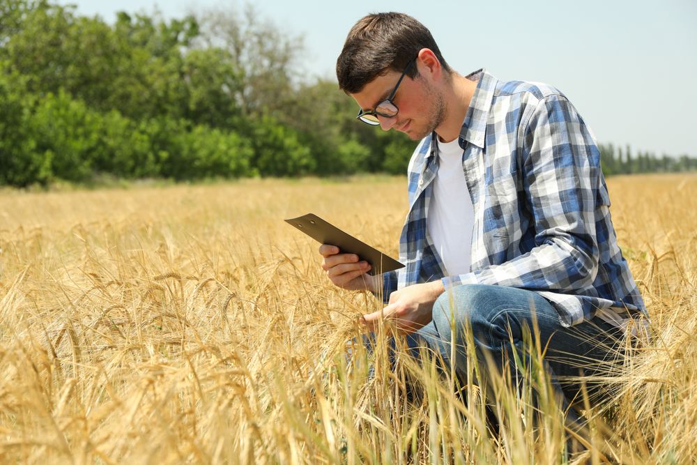 Young man with clipboard in barley field. Agriculture business