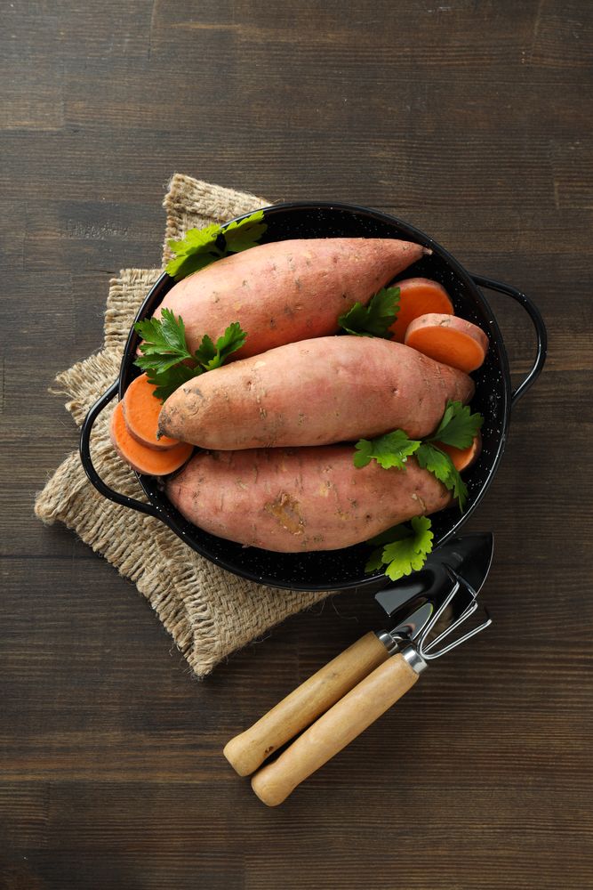 Sweet potato, concept of healthy food, vegetables