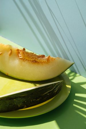 Melon toad skin cut into slices Colorful summer theme