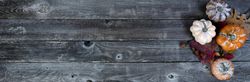 Autumn decor for the seasonal holidays on old wood
