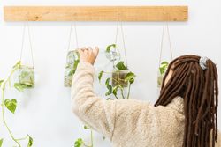 Unrecognizable woman from behind watering some plants