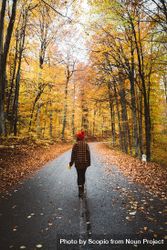 Woman in red knit cap walking on road between yellow trees 4Z3drb