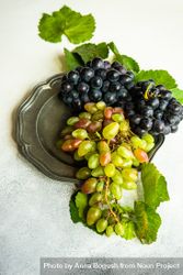 Fresh red & green grapes on grey plate bGR2aV