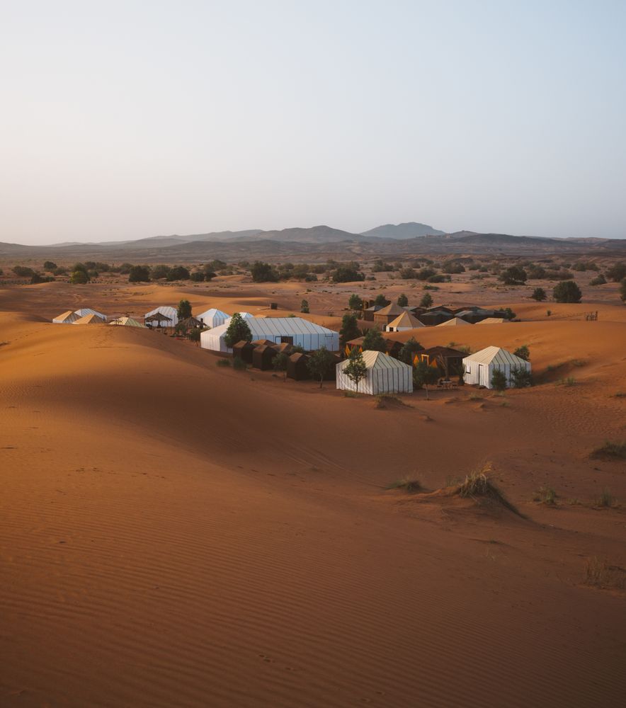 White tents among rare trees in desert