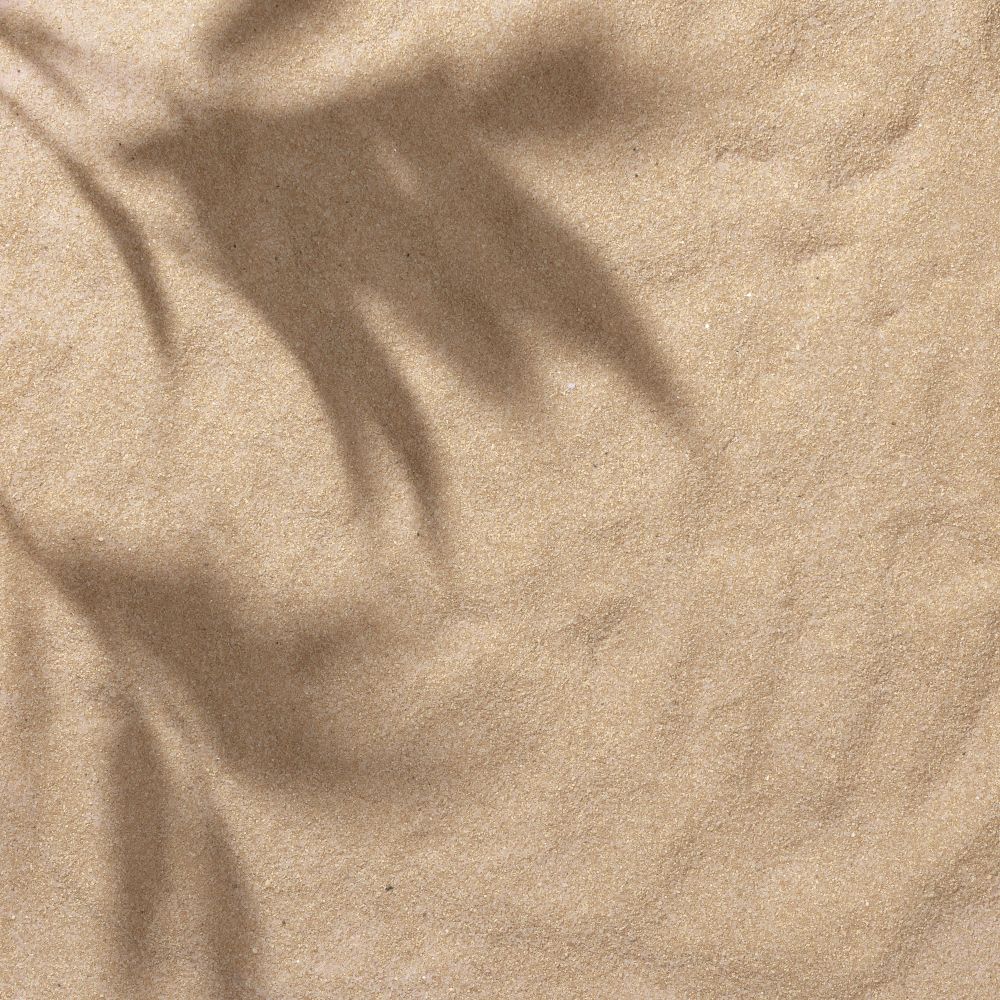 Sand with palm leaf shadows