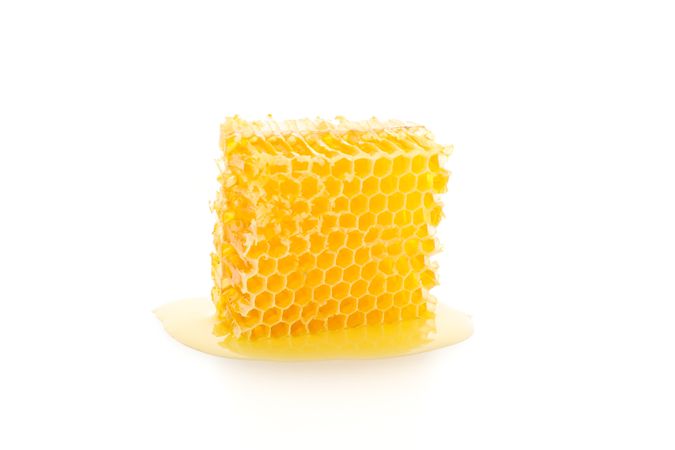 Sweet honeycomb isolated on blank background, close up