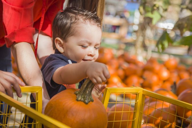 Happy Family at the Pumpkin Patch