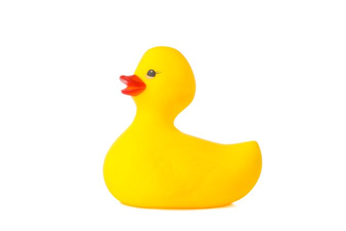 Yellow rubber duck isolated on light background