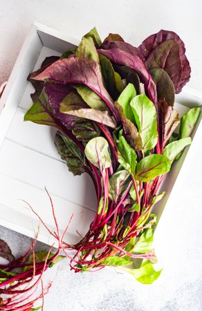 Top view of beetroot leaves as a healthy cooking concept